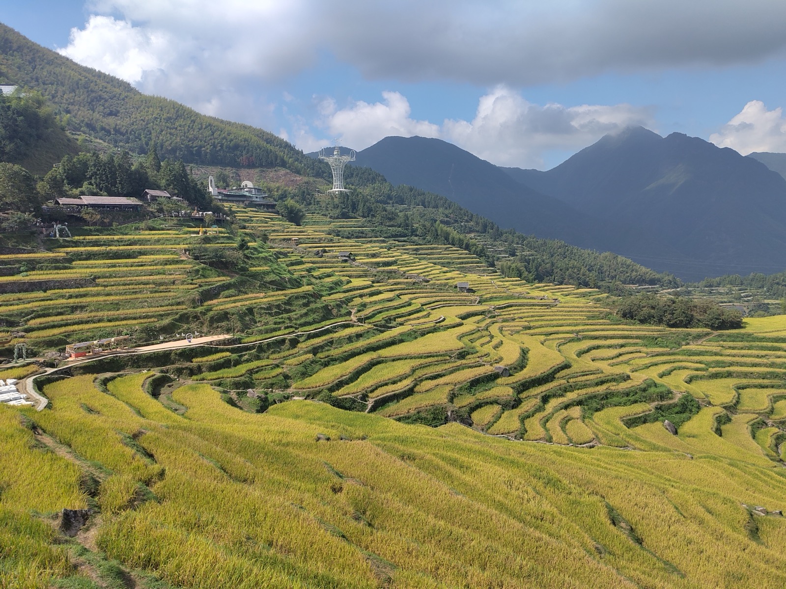 浙江美丽公路：云和梯田秋日金色千层梯田与群山 | 作者 Nic